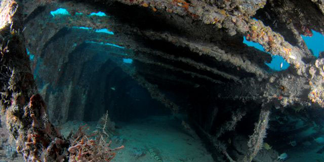 Dive With South Florida Diving Headquarters